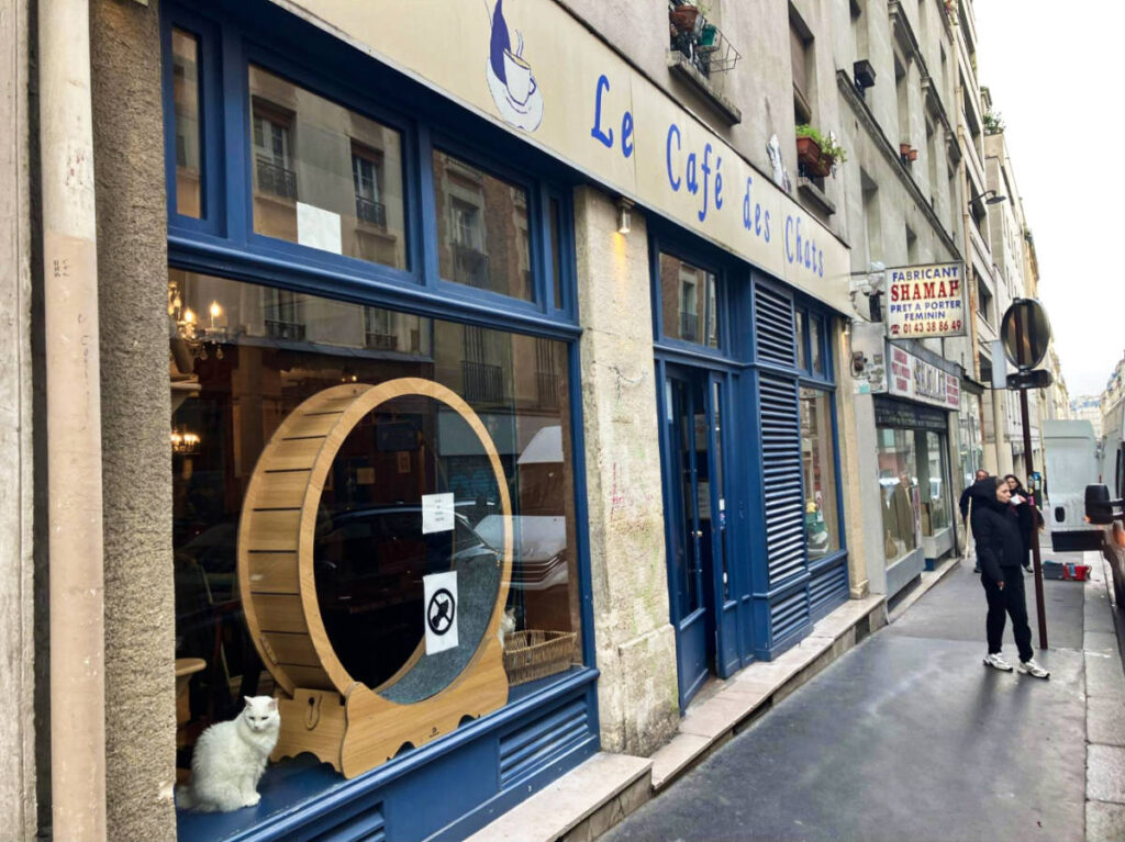 View of the cat cafe from the outside