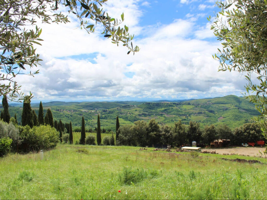 Panoramic view of the lush greenery around The Chianti countryside