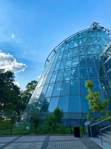 Exterior view of the cylindrical glass building of The Cockrell Butterfly Center