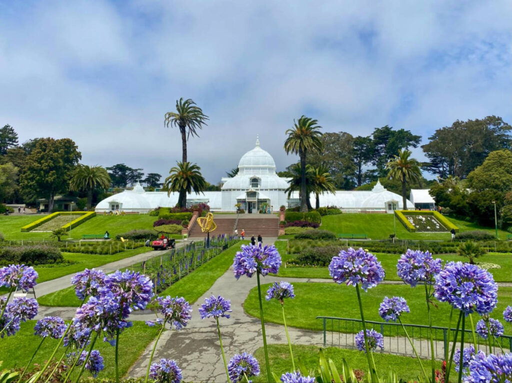 View of the white building of The Conservatory of Flowers adorned with purple flowers in the foreground