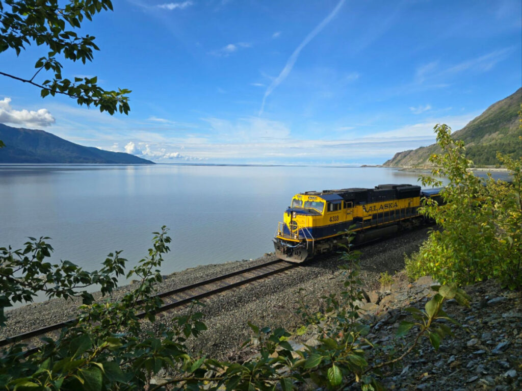 View of Glacier Discovery train on its way to the famous iceflows