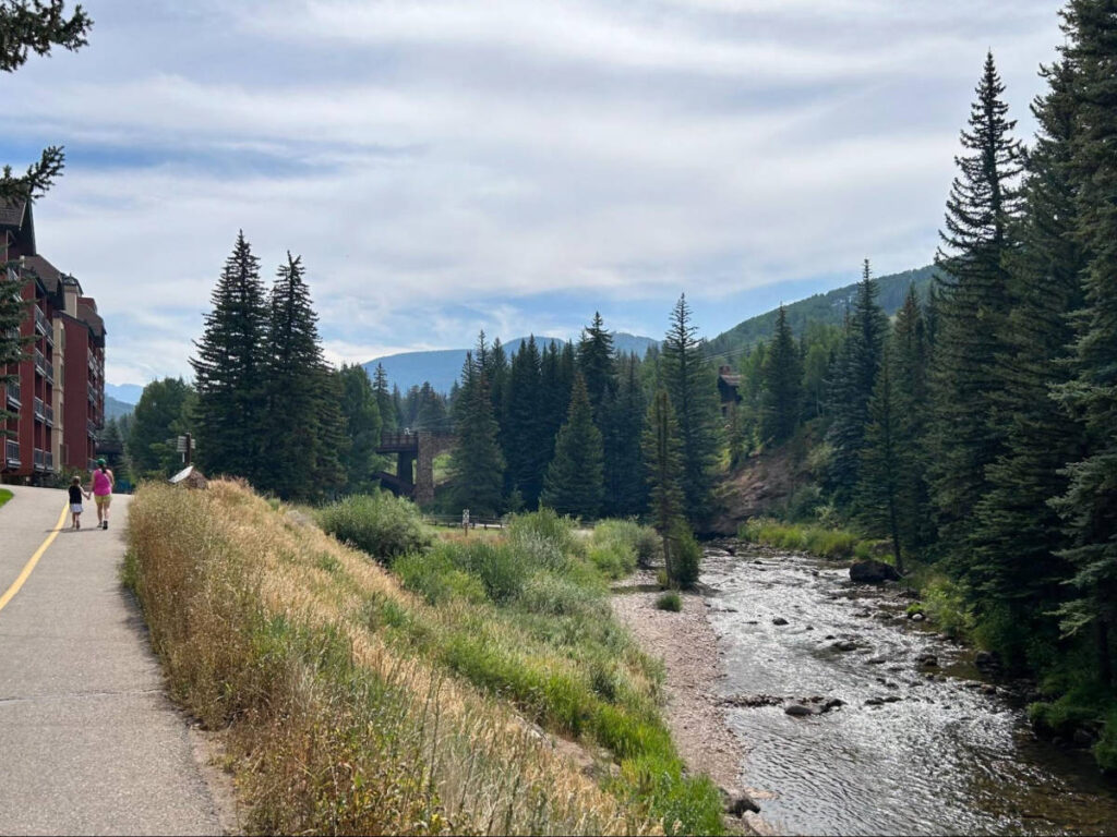 View of the greenery around the Gore Creek path