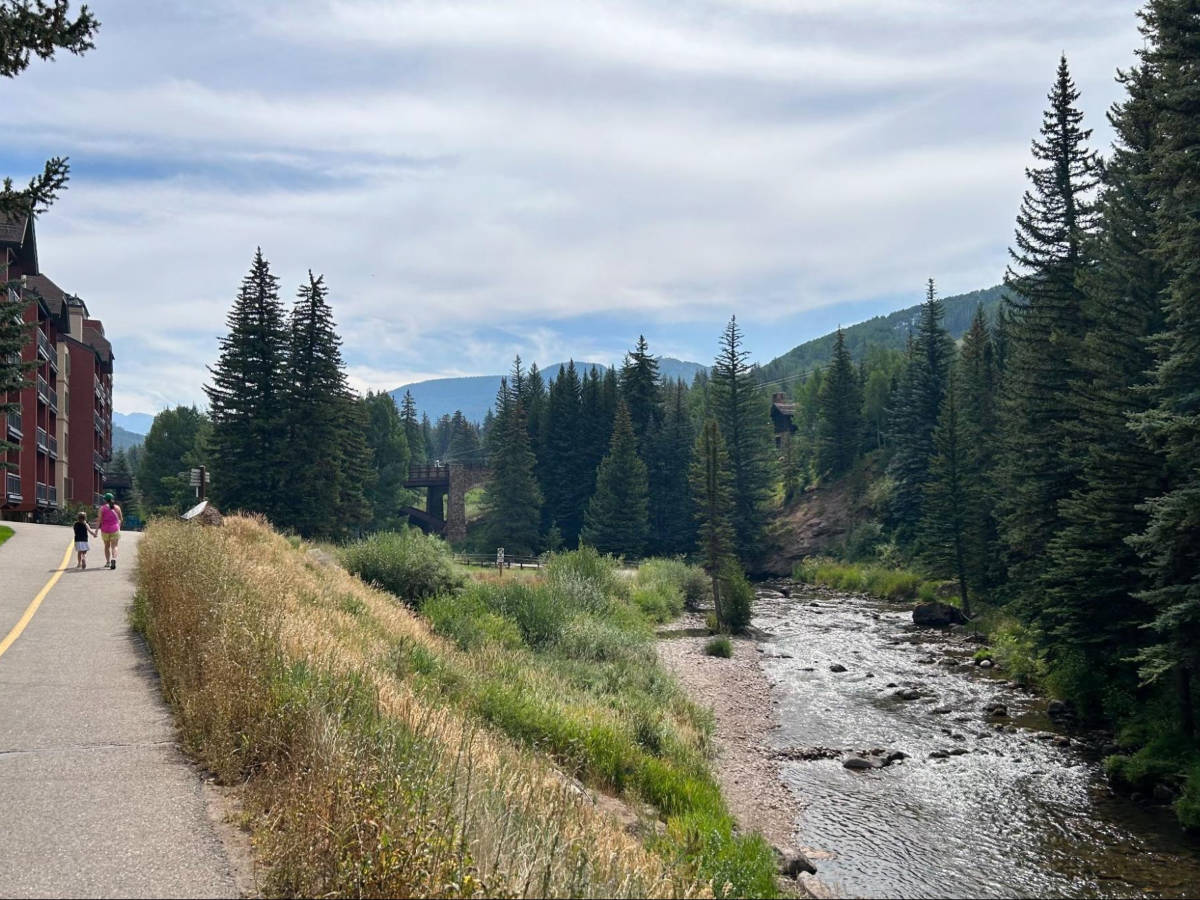 View of the greenery around the Gore Creek path