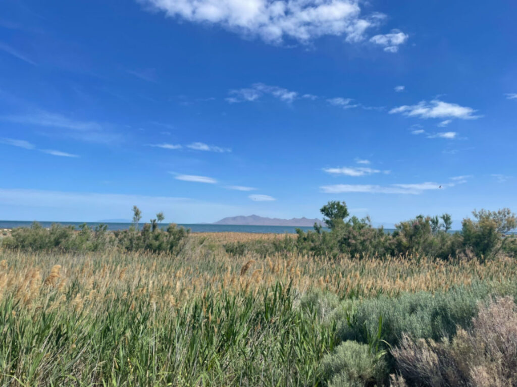 Landscape view of a grassy field with the mountains and waters in the background at Salt Lake City