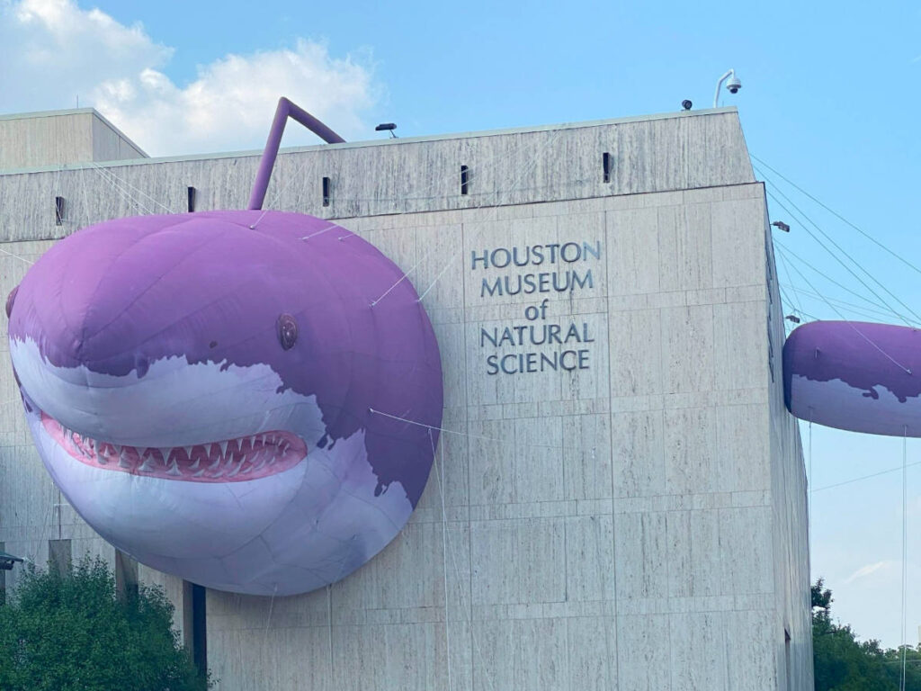 An art installation of a shark outside the Houston Museum of Natural Science