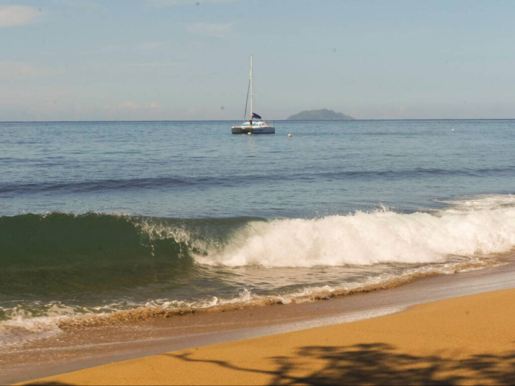 The Katarina catamaran departs from the marina
