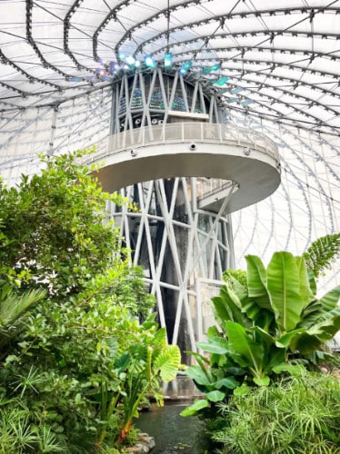 View of an architecture and different plants in The Leaf