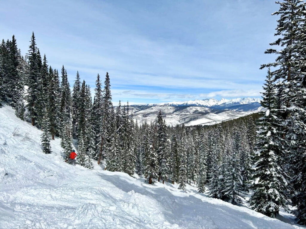 Panoramic view of the trees at the Lower Stone Creek Chutes