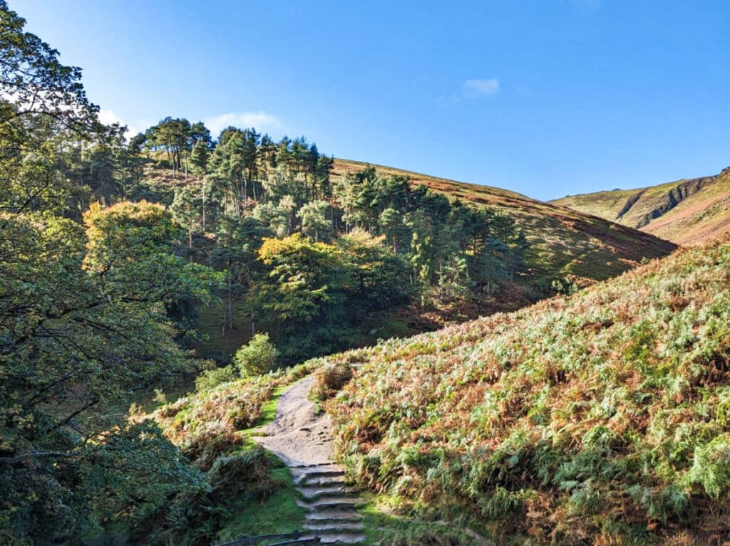 Scenic view of the Peak District surrounded by greenery