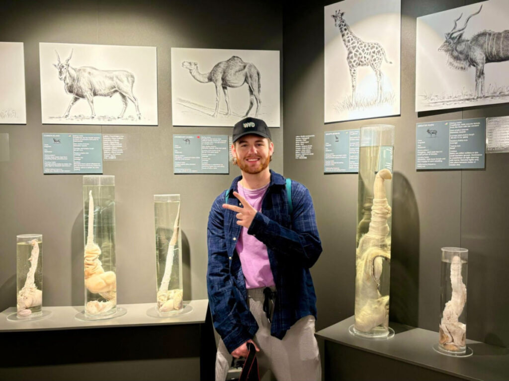 A man posing for a photo near the exhibits at The Phallus Museum