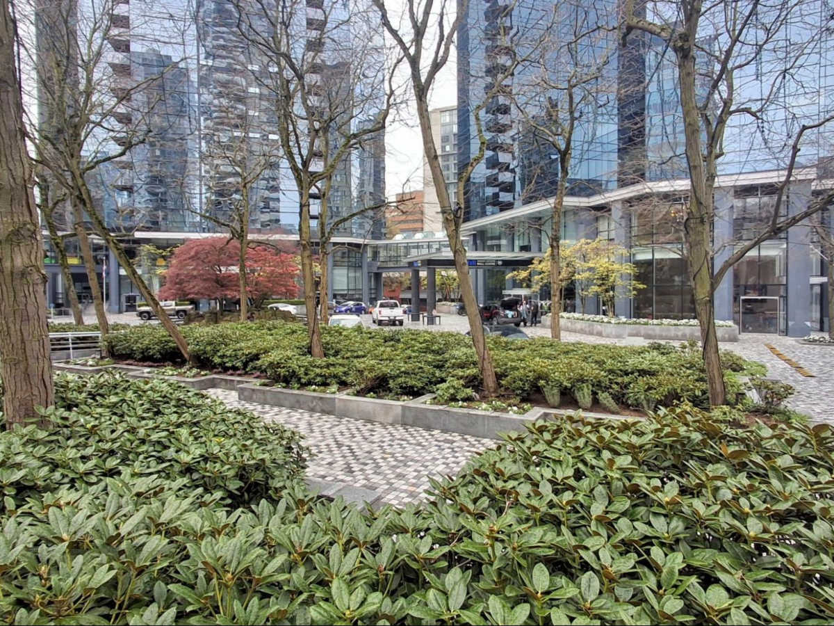 The hotel complex surrounded by greenery at the Sheraton Wall Centre
