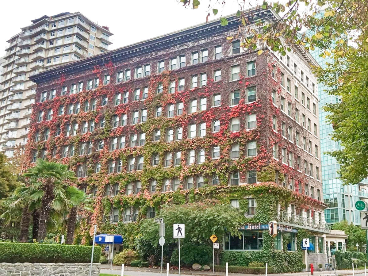 View of the fall foliage around the exterior of The Sylvia Hotel