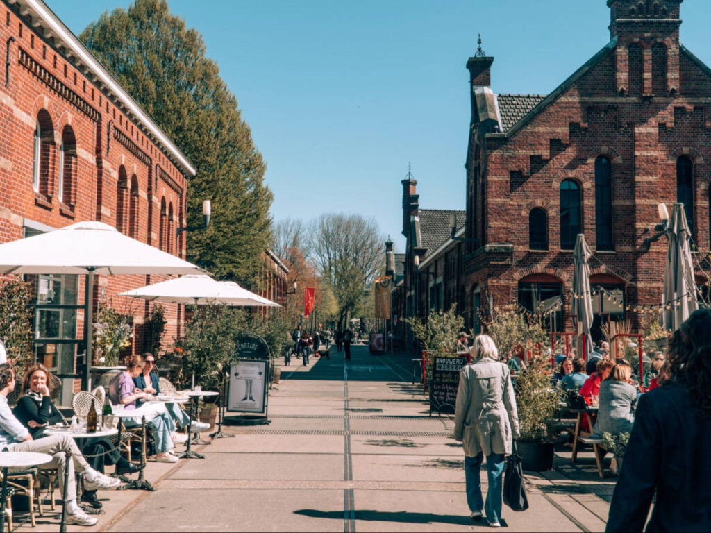 View of the people relaxing and enjoying the sun in The Westergasterrein
