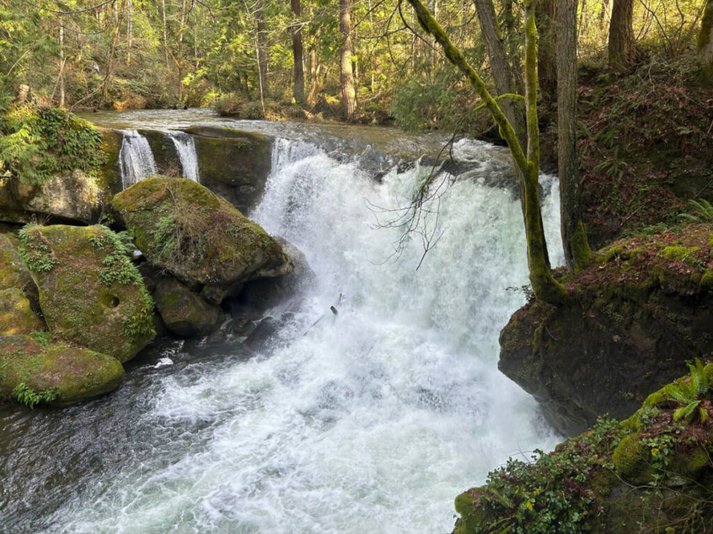 View of The Whatcom Falls surrounded by lush trees and rugged rocks
