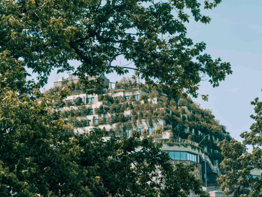 The World War II Bunker peaking through the foliage