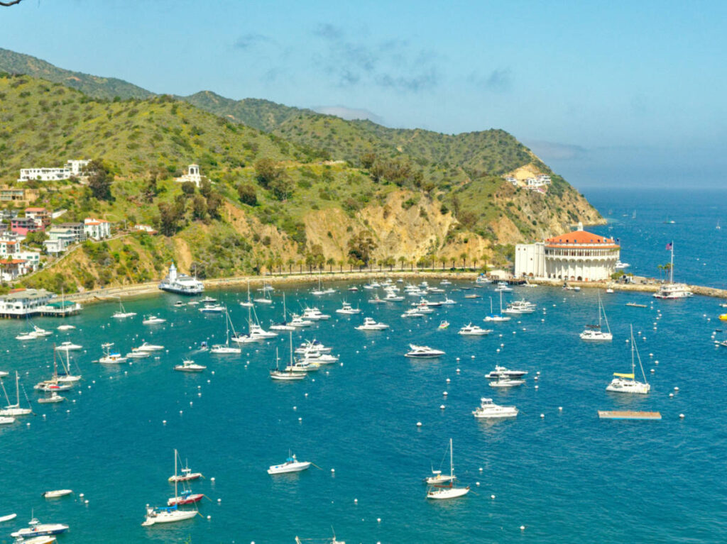 Aerial view of the hillside and the boats sailing at the harbor at Avalon