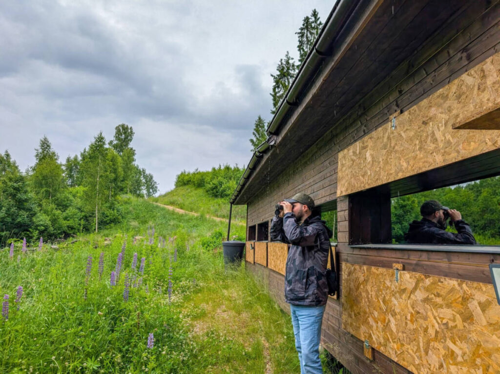 The author Thom Brown, enjoying the views through a binocular at the Wildlife Dreams Photography Hide