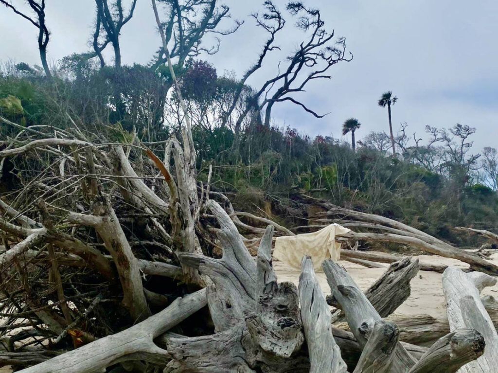 View at the Timucuan Ecological and Historical Preserve