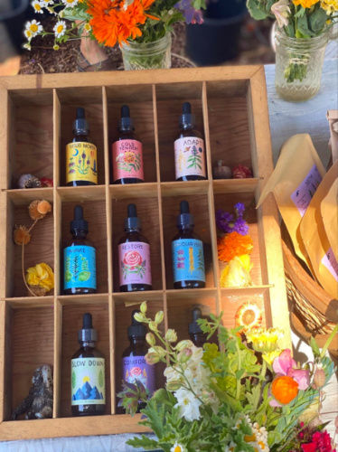 Wooden box filled with various types of oils at Ojai Certified Farmers Market
