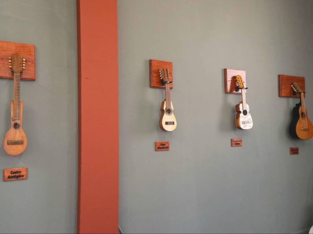 View of the displayed tiples at the Folkloric Music Hall