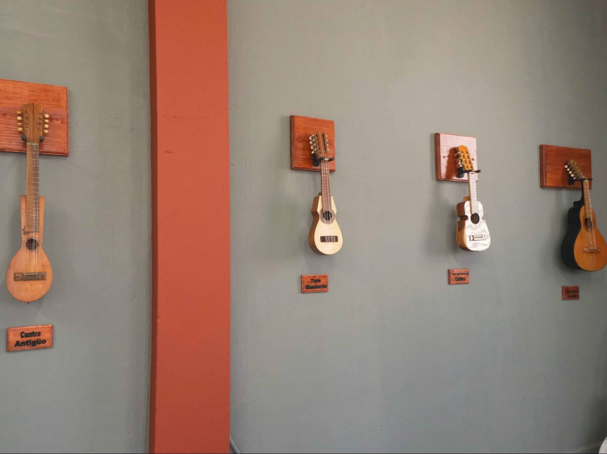 View of the displayed tiples at the Folkloric Music Hall