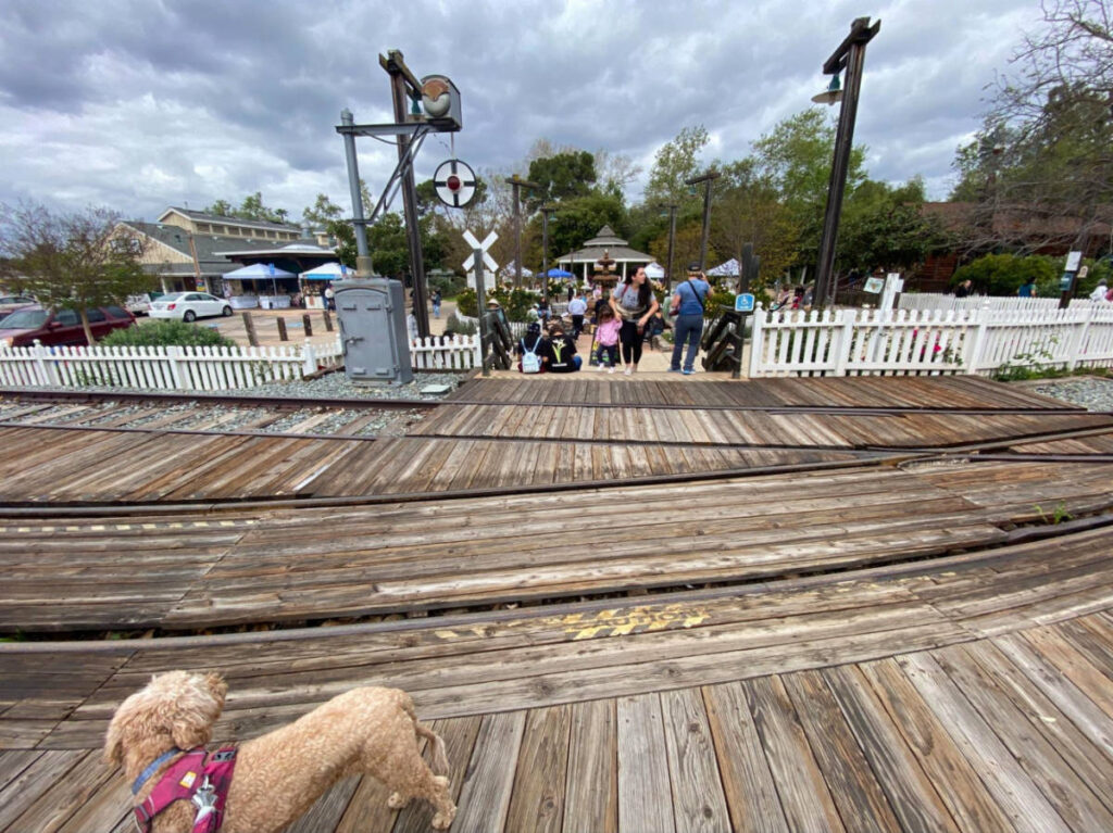 A dog on a wooden train track