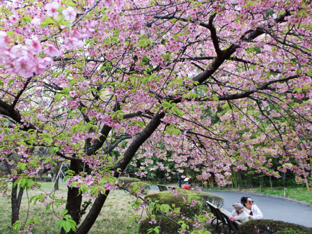 A mother with her daughter enjoying their day in Tokyo’s National Gardens of the Imperial Palace