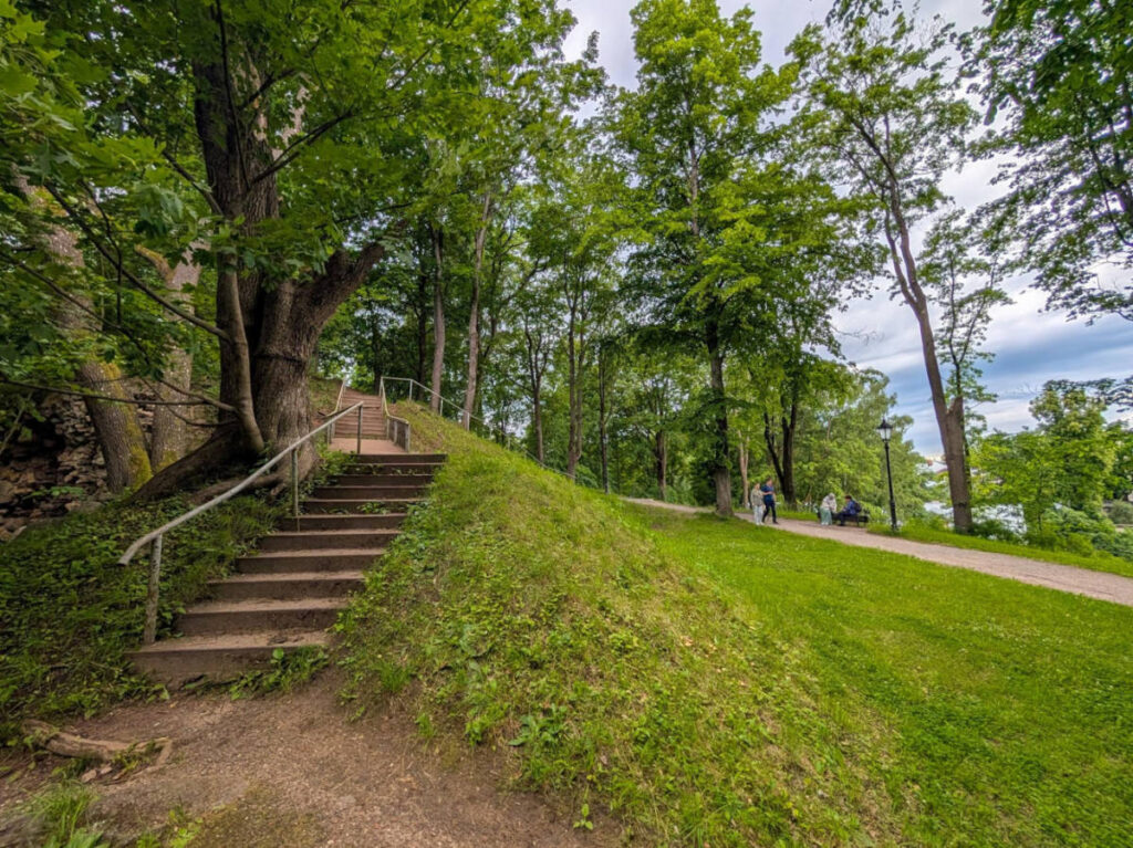 View of the staircase at the viewpoint in Toome Hill Park