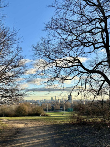 Skyline view from the top of Hampstead Heath