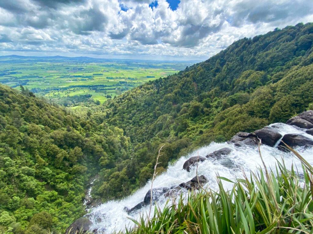 Overlooking view of the greenery from the top of Wairere Falls
