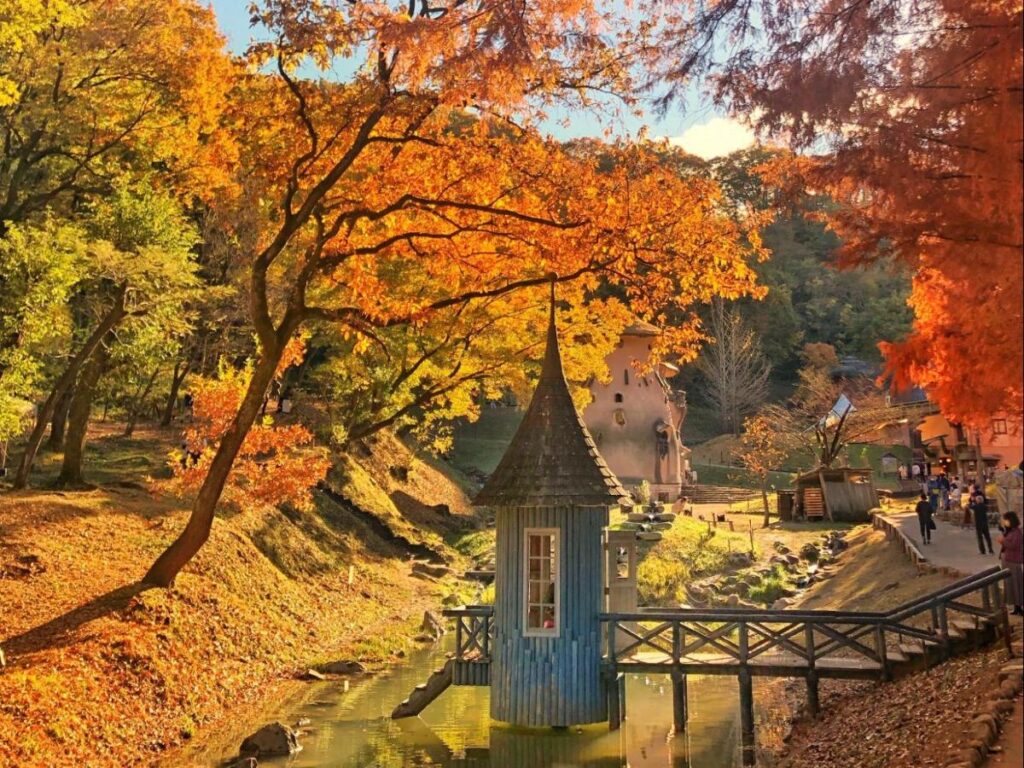 View at the Tove Jansson Akebono Children’s Forest Park during autumn