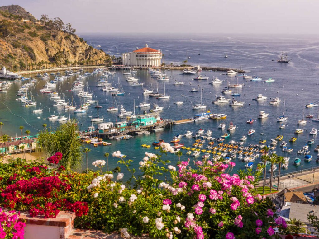 Overlooking view of boats at the town of Avalon