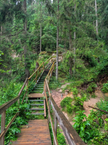 A staircase along the trail  to Ahja River