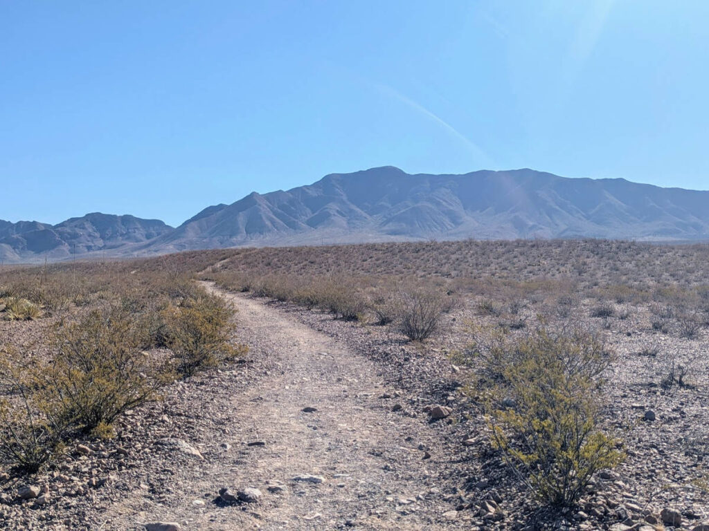 View from the trail in the Lost Dog conservation area leading to the Franklin Mountains