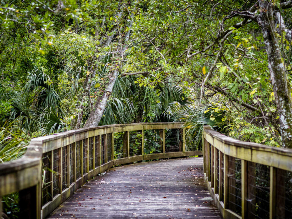 View of the wooden footbridge surrounded by greenery at the Tree Hill Nature Center