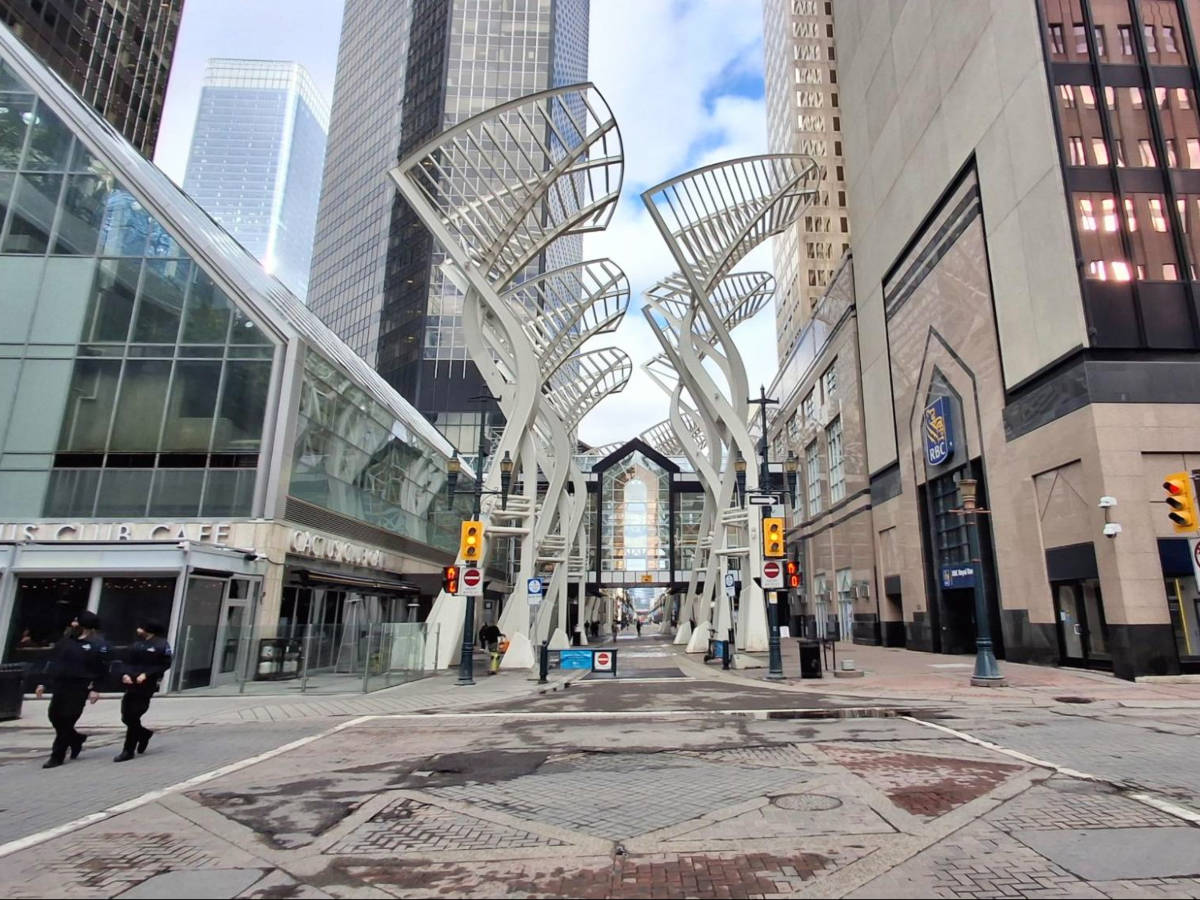View of the tree-like steel lights lined along the entrance to Stephen Ave.