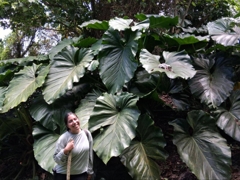 The author, Vanessa Ramos trekking in Puerto Rico