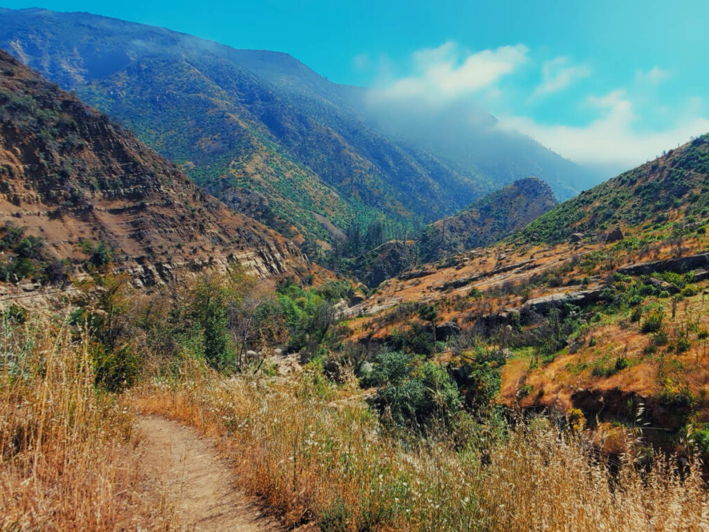 A scenic mountain trail with lush grass and trees, leading to Willett Hot Springs