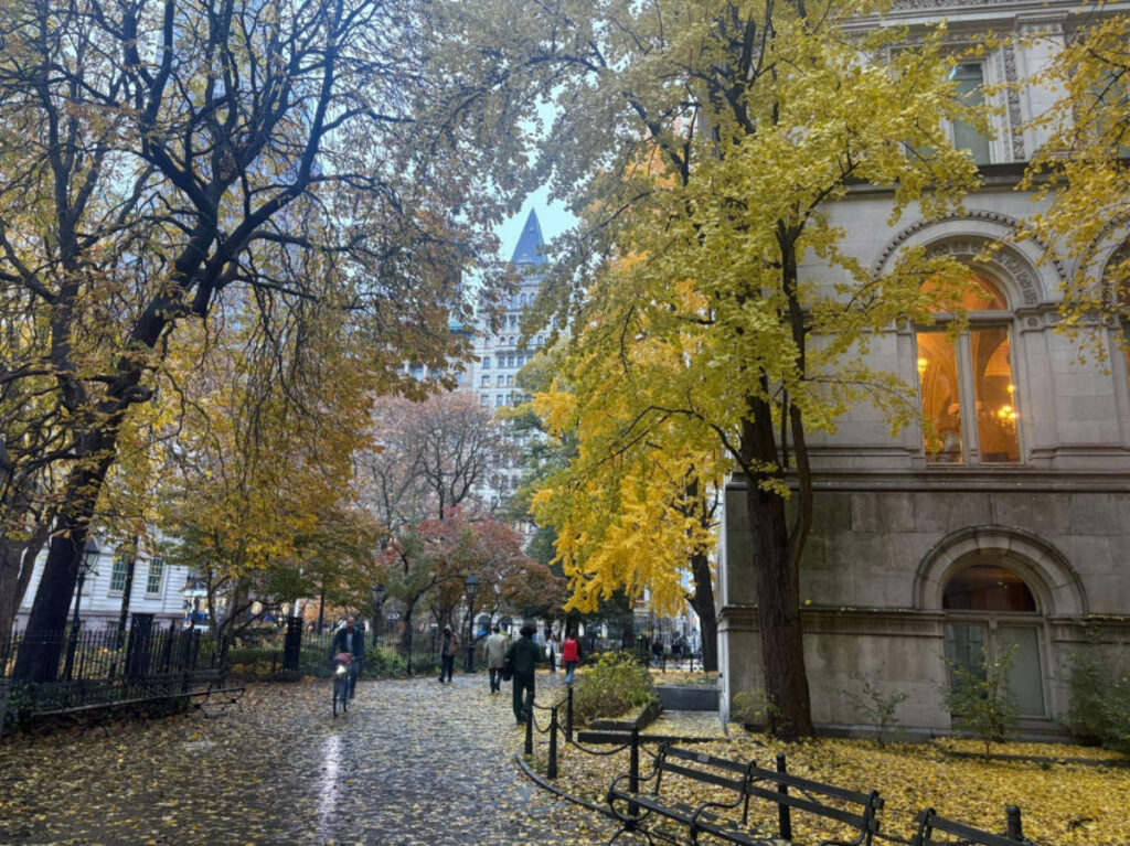 A rainy day in Tribeca in autumn