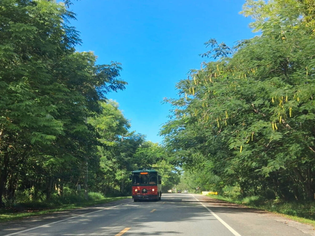A trolley driving along the road surrounded by lush greenery in Rincón
