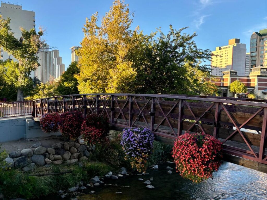 Flowers hanging on a bridge along Truckee River