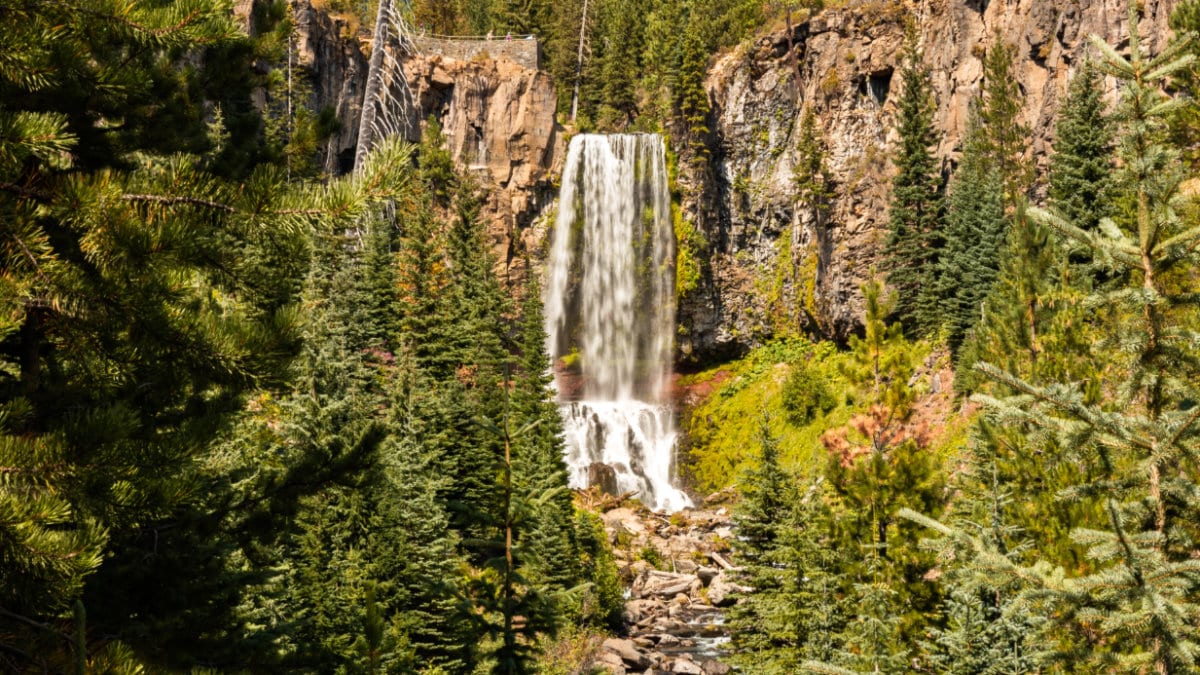View of the cascading Tumalo Falls surround by greenery on a sunny day