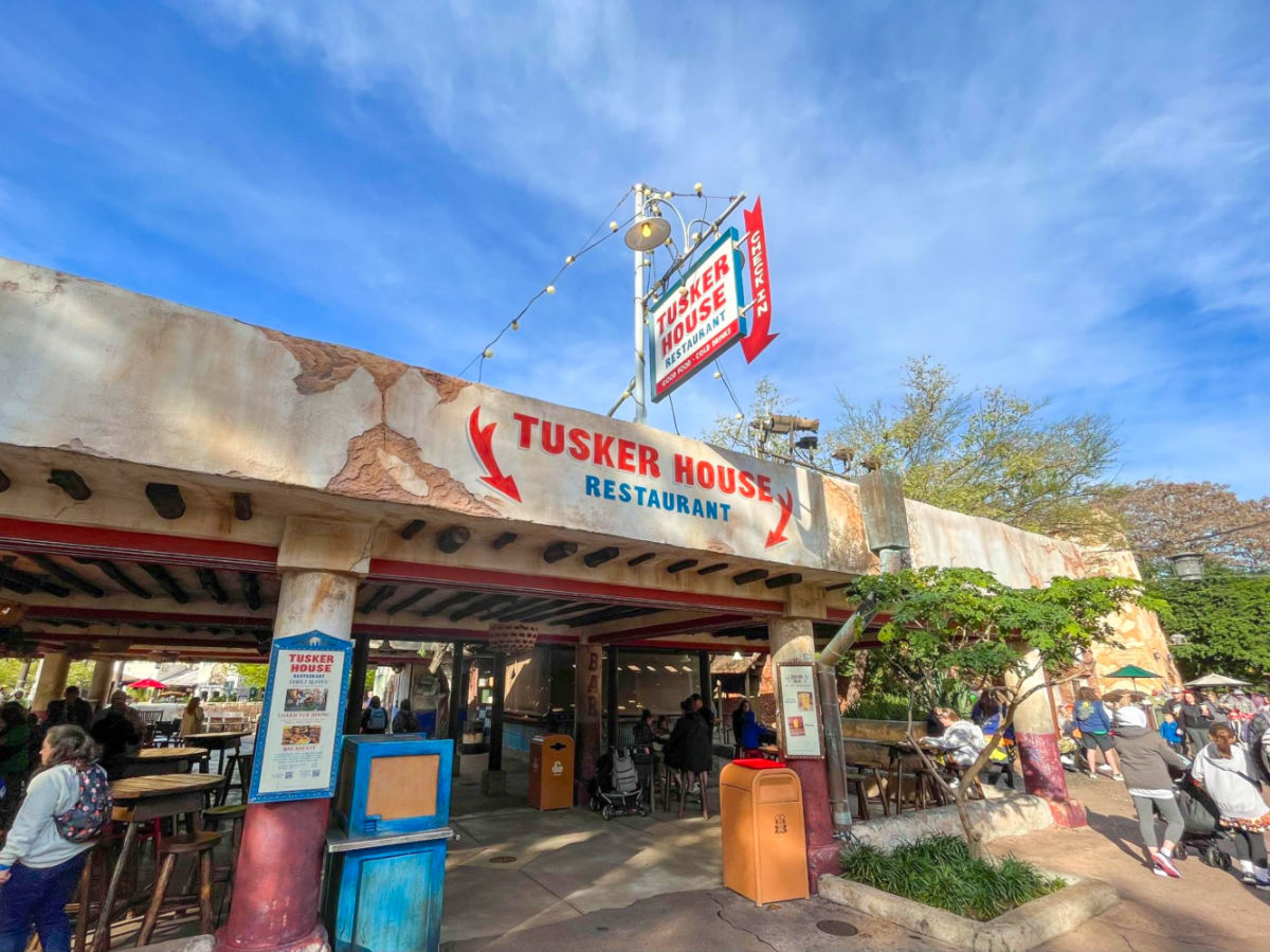 27 Best Things To Do At Animal Kingdom By A Disney Expert 27-best-things-to-do-at-animal-kingdom-by-a-disney-expert