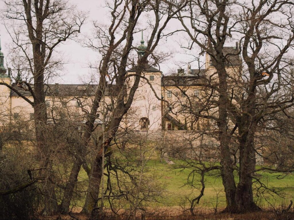The trees surrounding Tyresö Slott