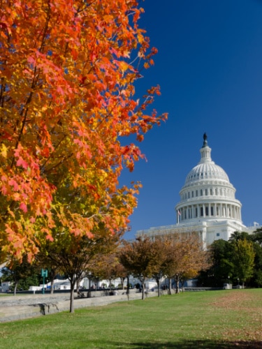 Clear blue sky over the United States Capitol