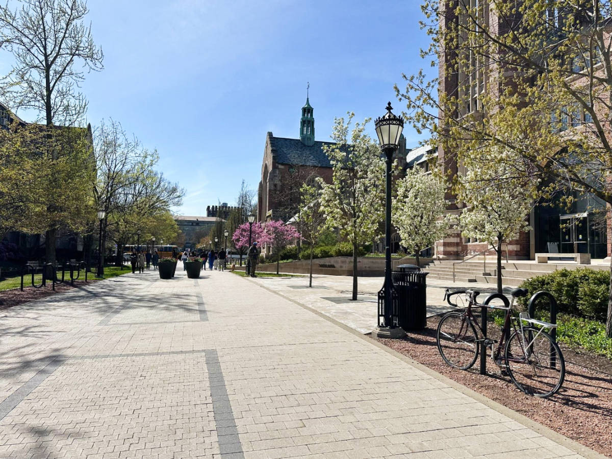 View while walking at the University of Chicago campus