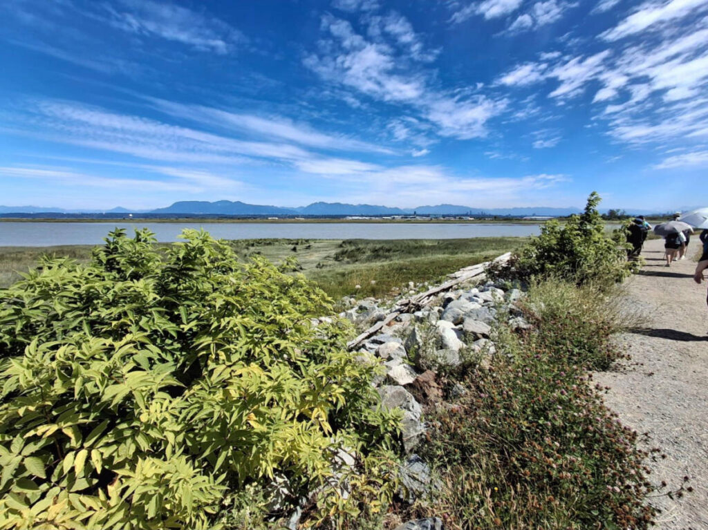 View of the Vancouver International Airport from across the water