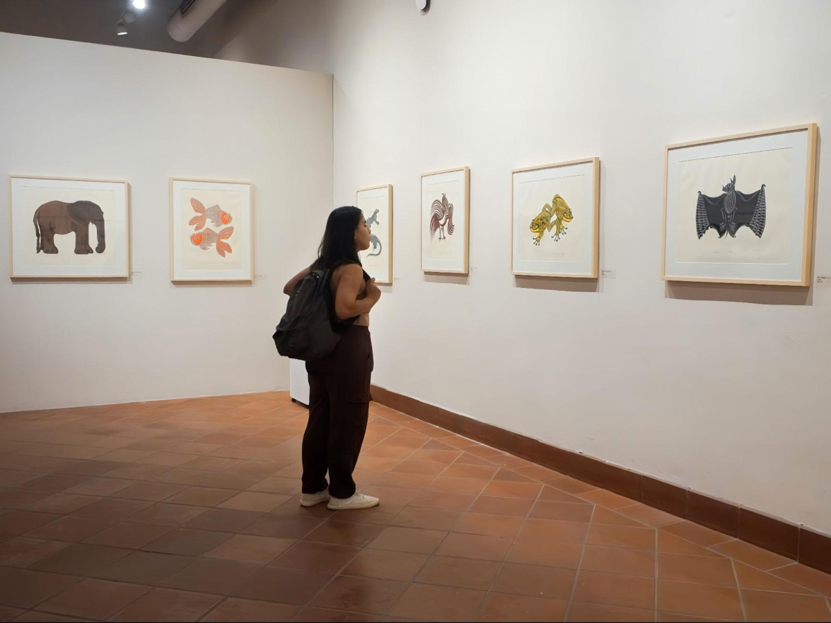 The author Vanessa Ramos, admiring the paintings at the Museo Las Americas