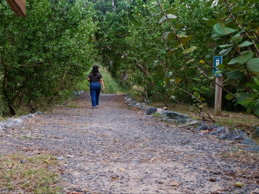 The author Vanessa Ramos, walking in Bosque La Armonía surrounded by greenery