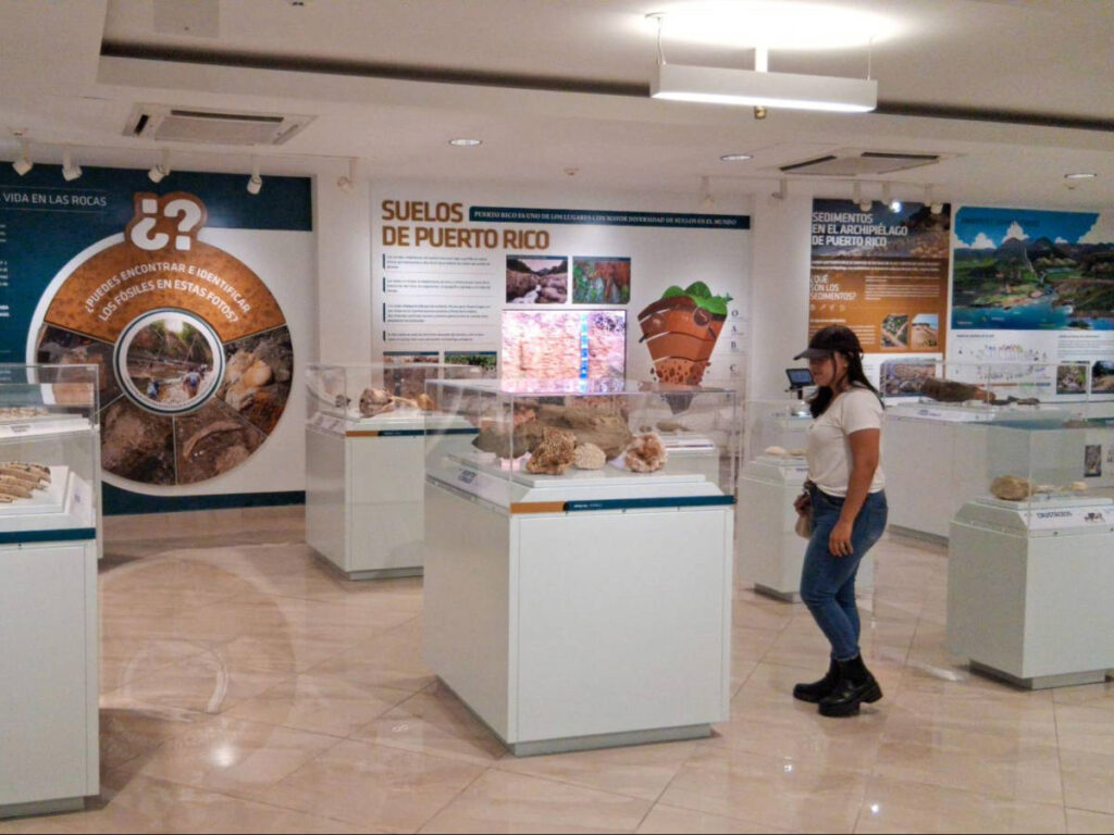 The author Vanessa Ramos, looking at the exhibit in Museo de Historia Natural de Puerto Rico